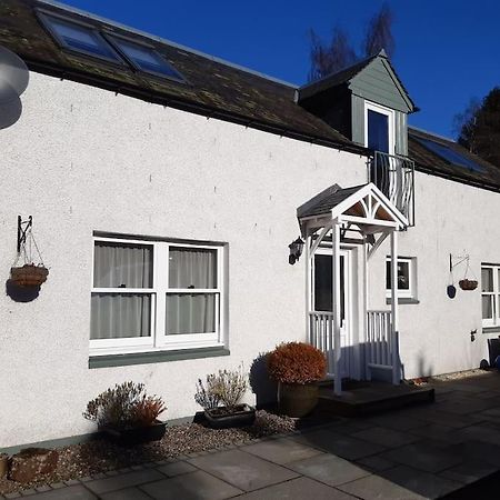 Pinewood Cotage - Country Walks And Relaxation Villa Blairgowrie and Rattray Exterior foto